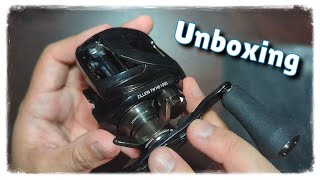 Daiwa Zillion TW HD JDM  The Reel Nobody Is Talking About [upl. by Rhett963]