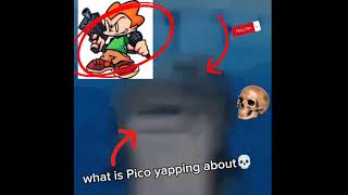 bro whats pico yapping about [upl. by Enneira]