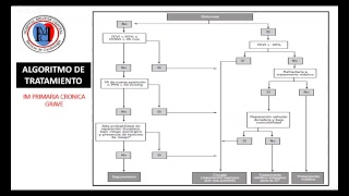 Insuficiencia mitral [upl. by Slavin612]