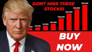 5 MUST BUY High Yield Dividend Stocks After Trump Win [upl. by Ybur535]