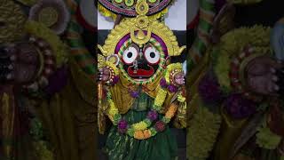 ହେ କାଳିଆ🙏ଜଗନ୍ନାଥ ଭଜନ shorts ytshorts jagannath jagannathtemple jagannathbhajan puri odisha [upl. by Trudnak]