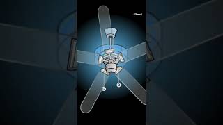 Kipas Angin Rotation 5 ceilingfan kipasangin shorts [upl. by Odnomra388]