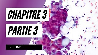 Cytologie  Chapitre 3 P3  Dr Homsi [upl. by Merri]