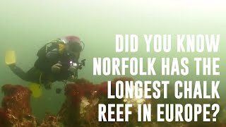 Discovering Norfolks Hidden Chalk Reef  The Longest in Europe [upl. by Miharbi]