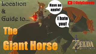 BOTW Giant Horse Location zelda botw [upl. by Aubigny329]