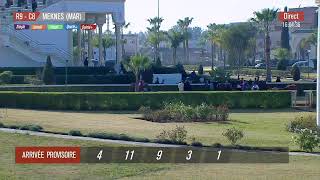 Live Hippodrome « MEKNES »  Courses du « 11012024 » [upl. by Nageem]