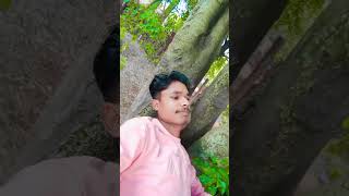 Berojgar hu n Shortvideo [upl. by Ahtamas]