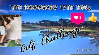 TPC Sawgrass 17th hole on OptiShot Golf Simulator  Par 3 Challenge [upl. by Anallese]