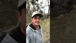 Cripple Prospecting Australia New England NSW part 13 [upl. by Hakvir530]