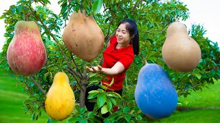 Harvest sapodilla amp Goes To Market Sell  Harvesting And Cooking  Lý Song Ca [upl. by Ruvolo]