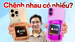 Sau 2 tháng iPhone 16 Pro Max A18 Pro và 16 Plus A18 CHÊNH NHAU CÓ NHIỀU [upl. by Eimirej]