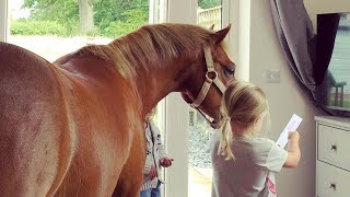 Pony Has Been In Love With Little Girl Since She Was Born  The Dodo [upl. by Efar]