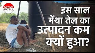 मेंथा किसानों को किसने किया बर्बाद Mentha oil production decreased  heat wave  Uttar Pradesh [upl. by Elmore]