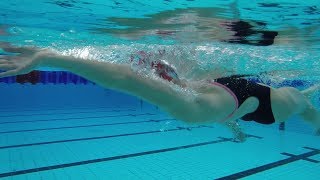 Backstroke Arm Technique  Improve Your Swimming Technique [upl. by Melc]