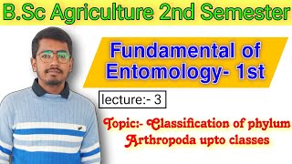 Classification of phylum Arthropoda upto classes Fundamental of Entomology 1 BSc Agri 2 Entomology [upl. by Eiramik]