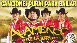 Los Alameños de La Sierra 🤠 Pura Excelencia Bailable 🤠 Popurri Cumbias Mix [upl. by Karol]