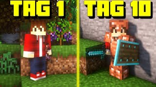 10 Tage Minecraft ABER mit 200 Mods  LarsLP [upl. by Notlil]