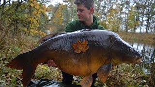 Karpfenangeln  Kapitale Karpfen im Herbst bei Kälte [upl. by Nalak258]