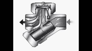 Thermodynamic steam trap working principle [upl. by Mccreary]