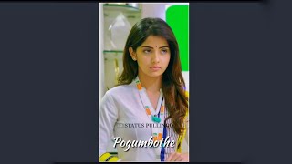 💞Kashmira Pardeshi💞  🥰En Sanda Kaari Neethan🥰  Song Full Screen WhatsApp Status [upl. by Eagle]