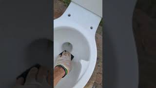 Toilet Cleaned with Muriatic Acid [upl. by Zigrang]