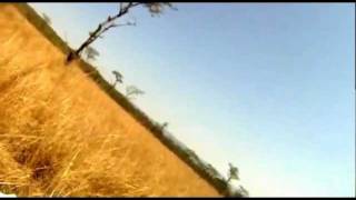 Mountain Biker gets taken out by BUCK Hartebeest [upl. by Agnesse]