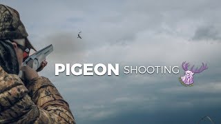 PIGEON SHOOTING [upl. by El]