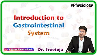 Introduction to Physiology of Gastrointestinal System  USMLE Step 1 [upl. by Ragen]