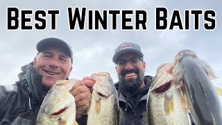 Best Winter Baits with Rob Cloutier [upl. by Luo396]