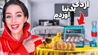 صفر تا صد به دنیا اومدن جوجه اردکا🐣نمک ترین موجود دنیا❤️ [upl. by Myk]