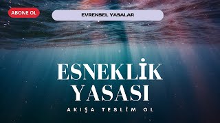 Esneklik Yasası Evrensel Yasalar Spiritüel Yasalar Dan Millman ve Diana Cooper Spritüel Yasalar [upl. by Enomahs]