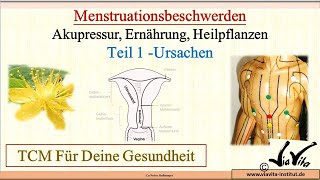 Menstruationsbeschwerden behandeln mit der TCM Teil 1 [upl. by Aifos]