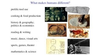 CARTA Mind Reading Human Origins and Theory of Mind What Makes Humans Different [upl. by Nevla527]