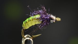 Tying a Caddis Pupa multitoned with Curtis Fry [upl. by Carlynne]