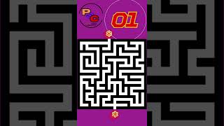 8 Second Maze 14 [upl. by Aldis]