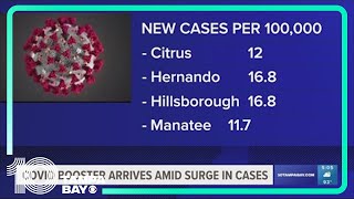 COVID booster arrives amid surge in cases [upl. by Fritze]