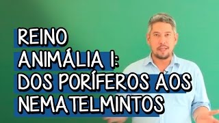 Reino Animália 1 dos Poríferos aos Nematelmintos  Extensivo Biologia  Descomplica [upl. by Zephaniah]