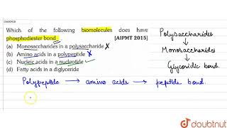 Which of the following biomolecules does have phosphodiester bond [upl. by Enyawd]