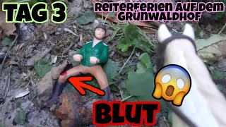 3 Reiterferien auf dem Grünwaldhof 🍀 Unfall beim Ausritt 😱😰  Schleich Serie [upl. by Athalee]