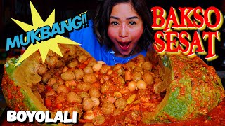 TEPAR DI TEMPAT GARA  GARA BAKSO SESAT [upl. by Annasus]