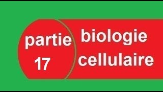 cours biologie cellulaire partie 17 réticulum endoplasmique  البيولوجيا بالدارجة [upl. by Anairdna]