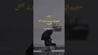 Raaz hamesha pur kashish lagtay hain Urdu quotes quotes in urdu  golden words in urdu  yt shorts [upl. by Strenta]