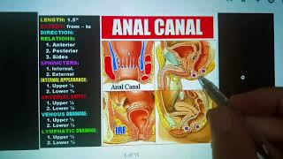 Anatomy of PerineumAnal Triangle and Ischiorectal Fossa anatomy [upl. by Marvella789]