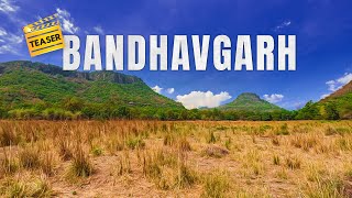 Bandhavgarh Tiger Reserve Teaser 20  4K Video Hindi  हिन्दी [upl. by Ennad746]