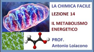 LA CHIMICA FACILE  Lezione 14  Il Metabolismo Energetico [upl. by Nohsram]