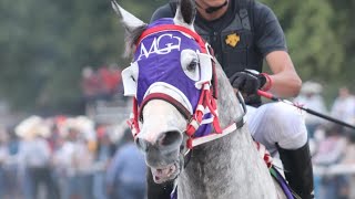 EL TERESO VS LA RUBY  TIERRA BLANCA VER [upl. by Josefa]