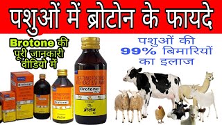 Brotone Liver Tonic Hindi ब्रोटोन के पशु में क्या क्या फायदे है Vet All info [upl. by Mersey]