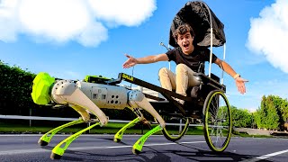 Costruisco una CARROZZA per il mio CANE ROBOT [upl. by Tomi]