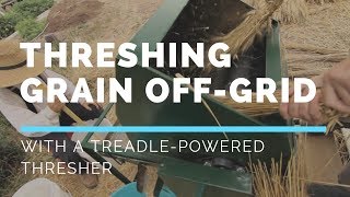 How we do Stuff Threshing Wheat with a Treadle Thresher [upl. by Nanfa]