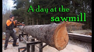 Sawing boards on a Logosol M8 sawmill equipped with the E5 speedsaw [upl. by Ravert]